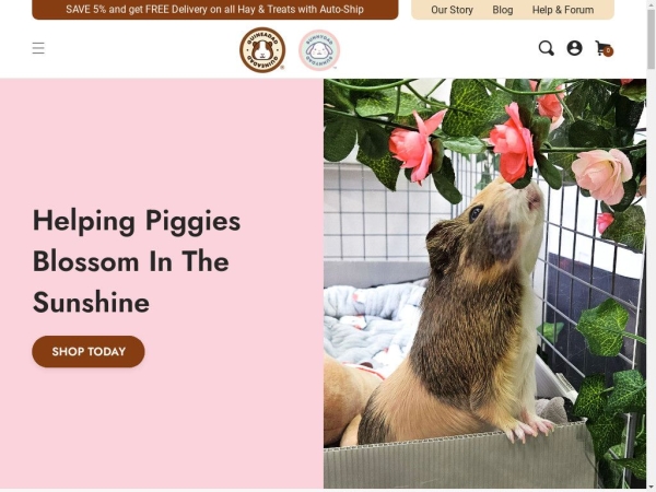 guineadad.com