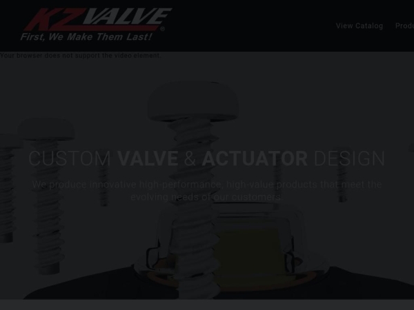 kzvalve.com