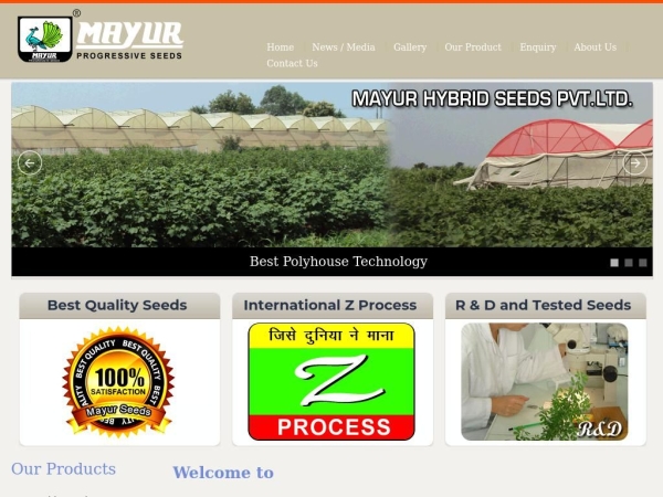 mayurseed.com