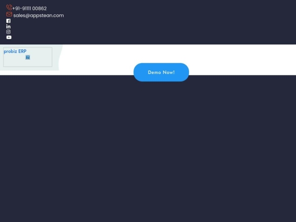 probizerp.com
