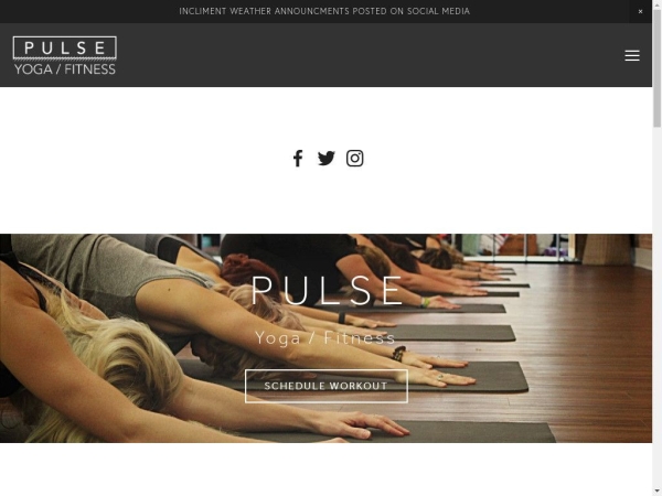 pulseyogafitness.com