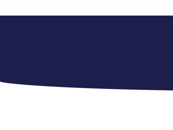seotopwiz.com